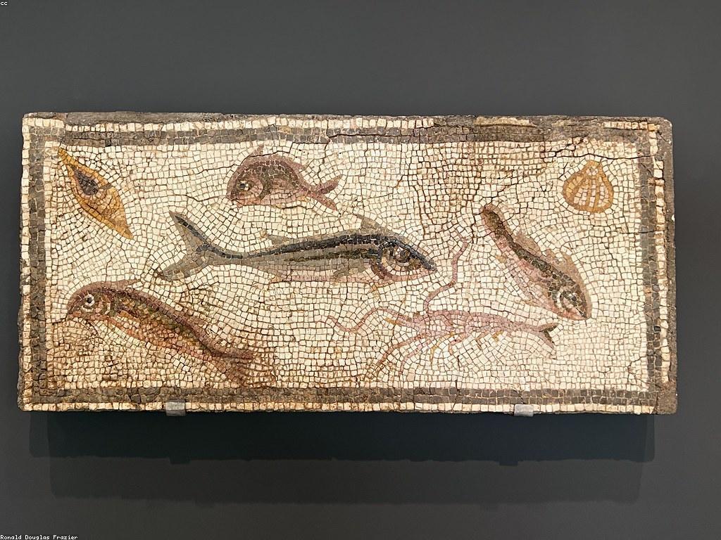 ការបកស្រាយអំពីជើងឯកស្លុតនិងសារៈសំខាន់របស់វា